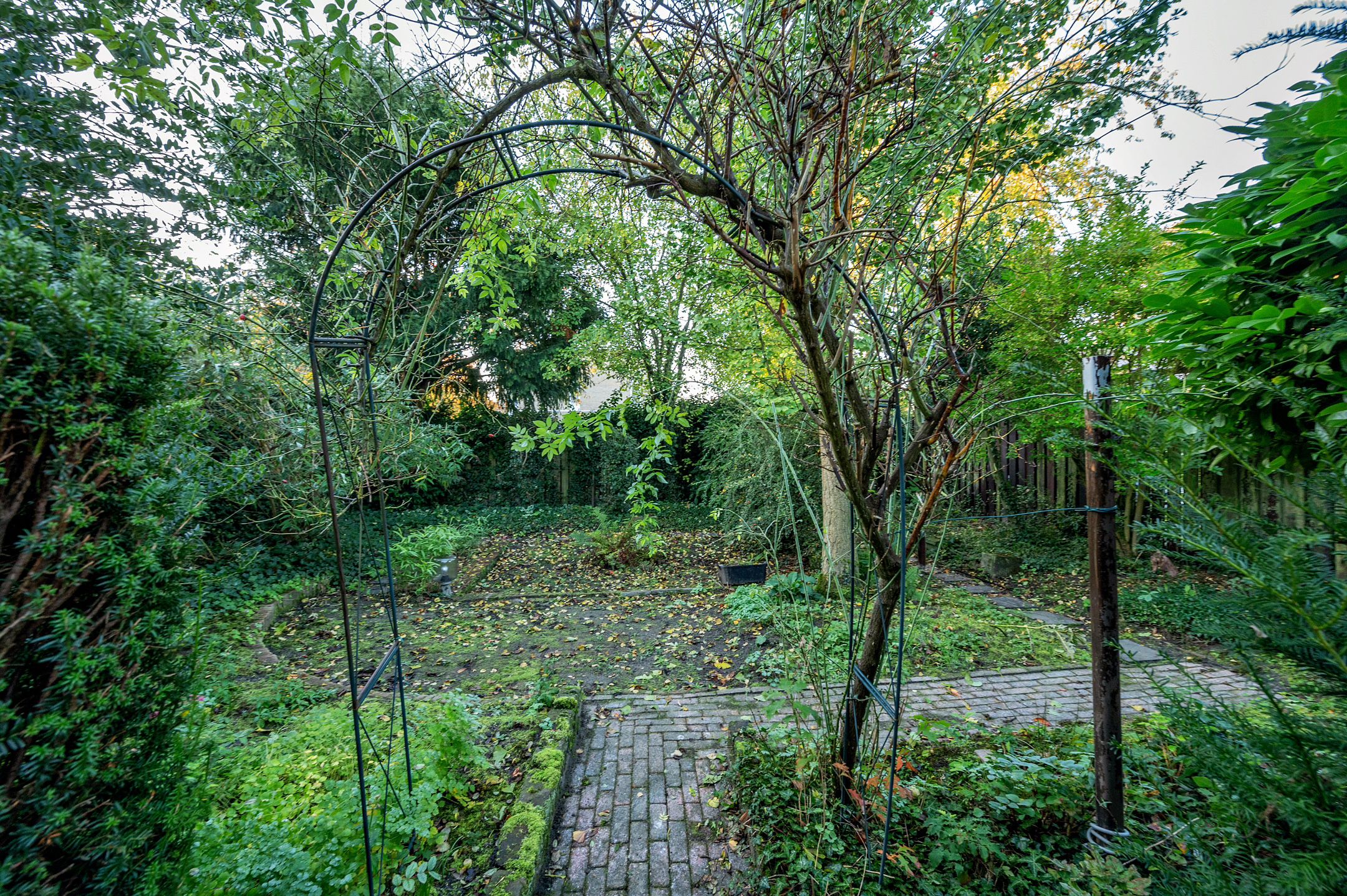 Foto 54 van Leemkampstraat 22