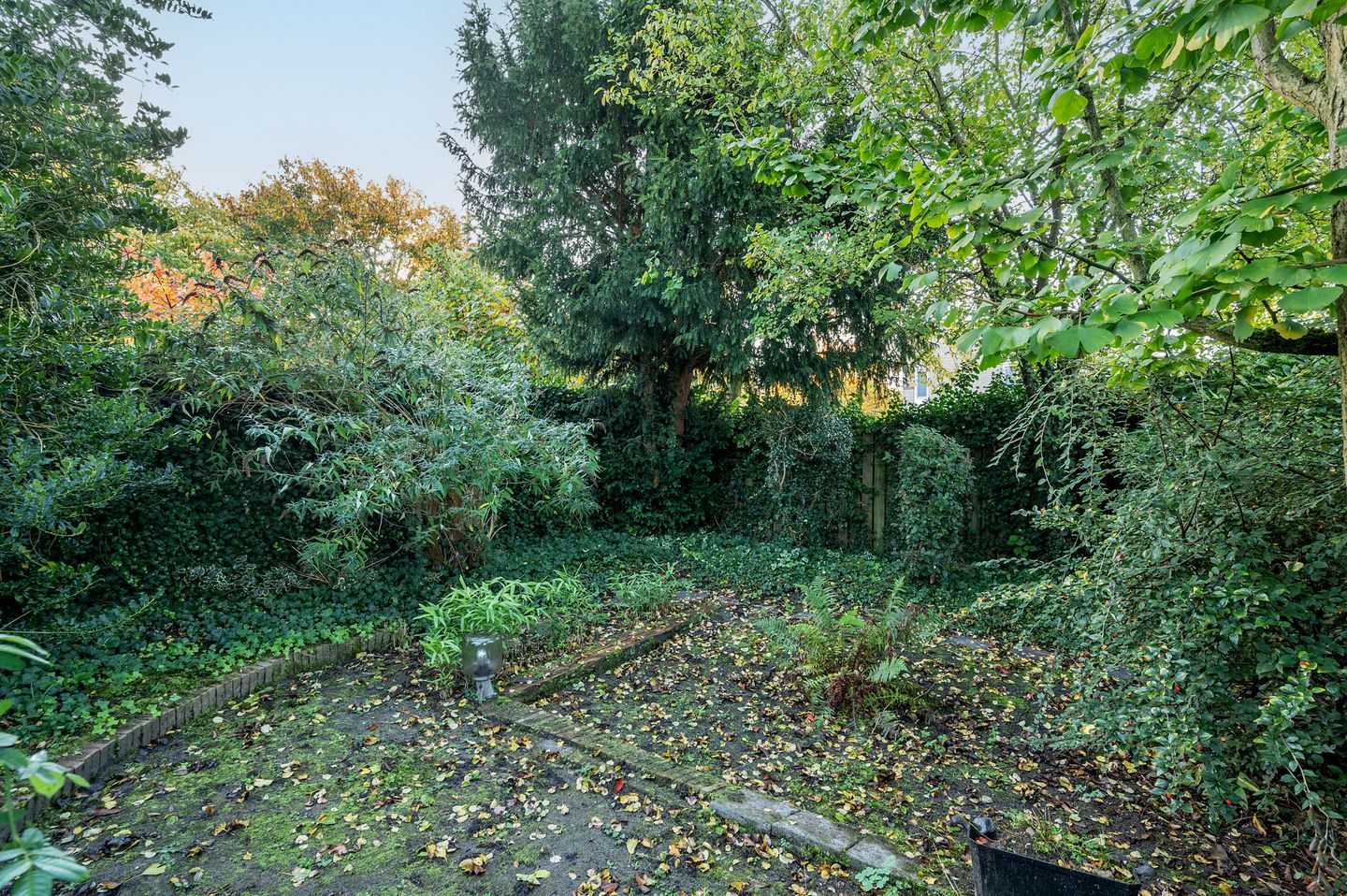 Foto 55 van Leemkampstraat 22