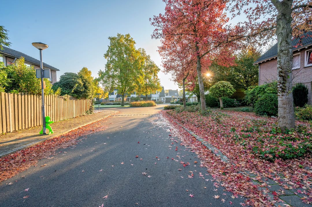 Foto 56 van Leemkampstraat 22