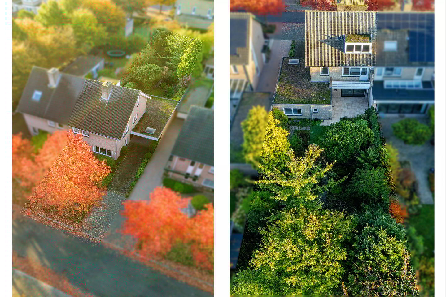 Foto 59 van Leemkampstraat 22