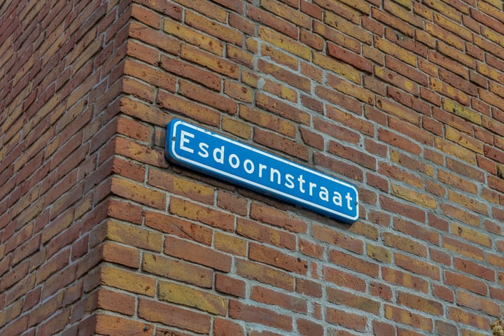 Bekijk foto 4 van Esdoornstraat 45