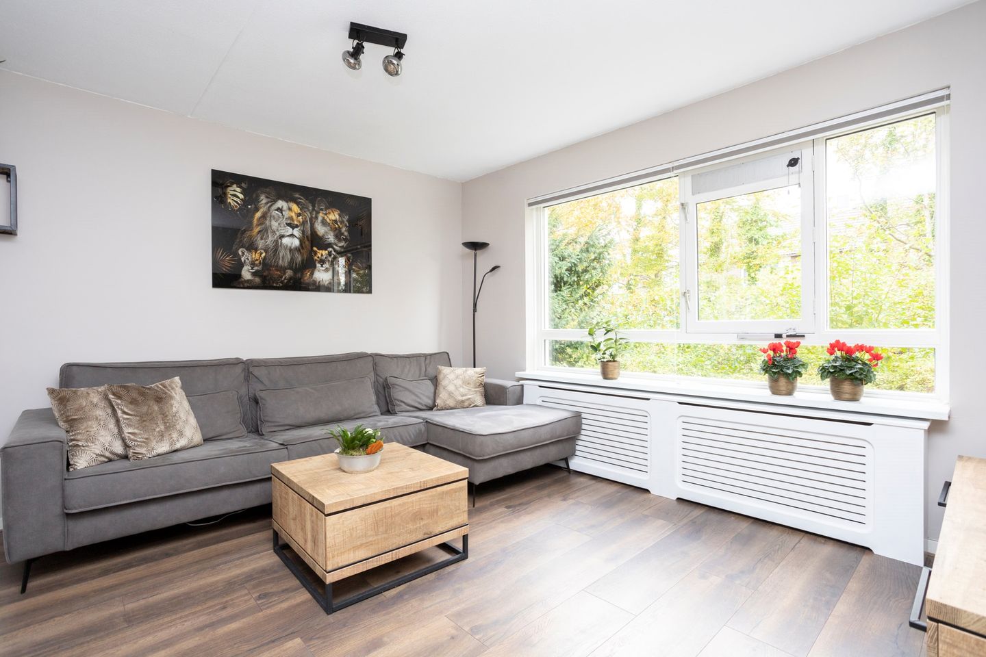 Foto 10 van Burgemeester Hendrixstraat 99