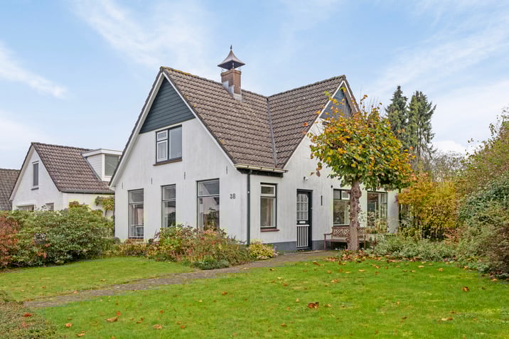 undefined main image