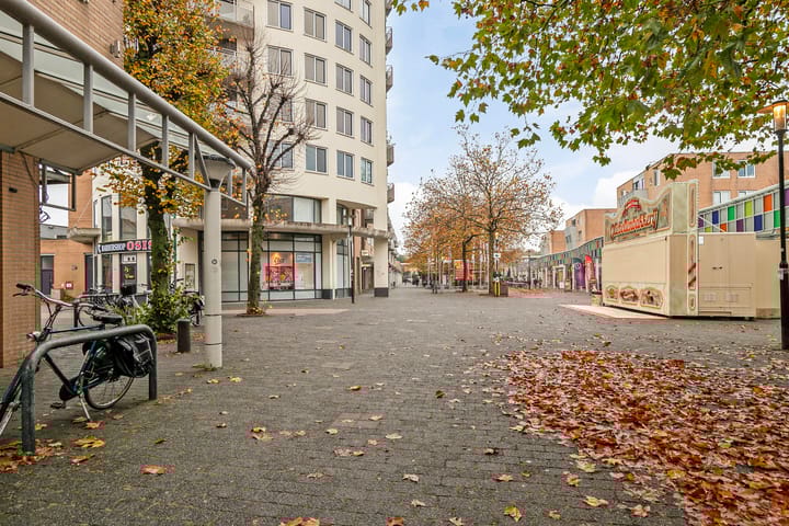 Foto 17 van Emiclaerhof 302