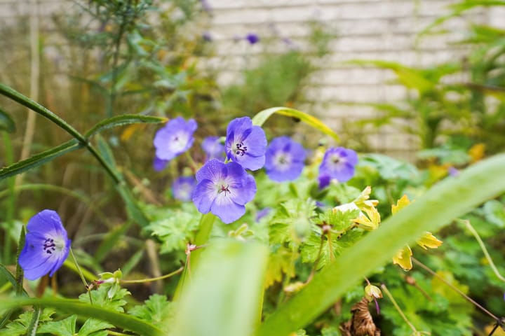 Foto 18 van Davelaarsgoed 74