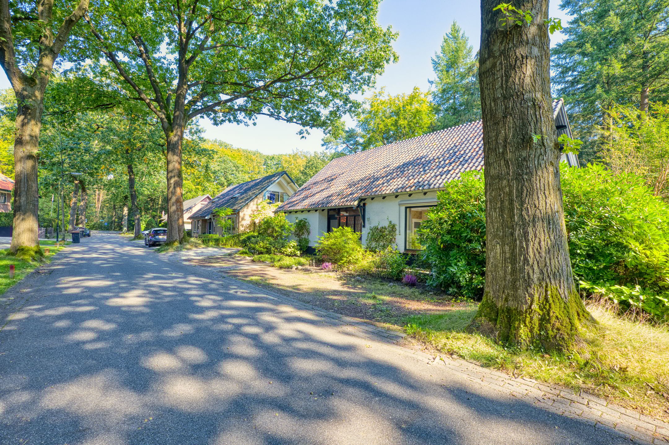 Foto 24 van Sparrenlaan 3