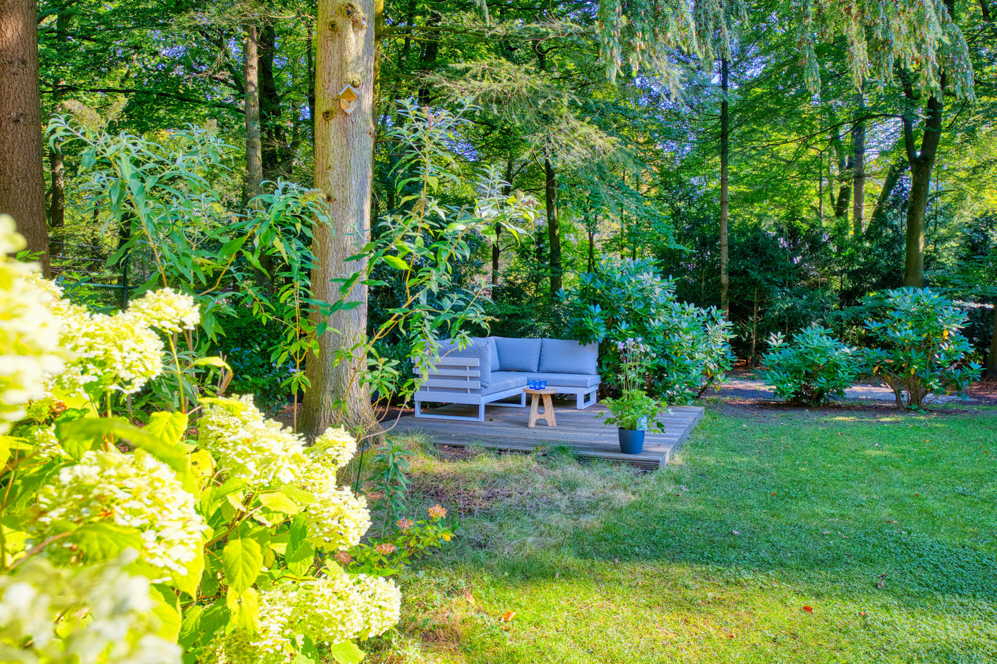 Foto 29 van Sparrenlaan 3