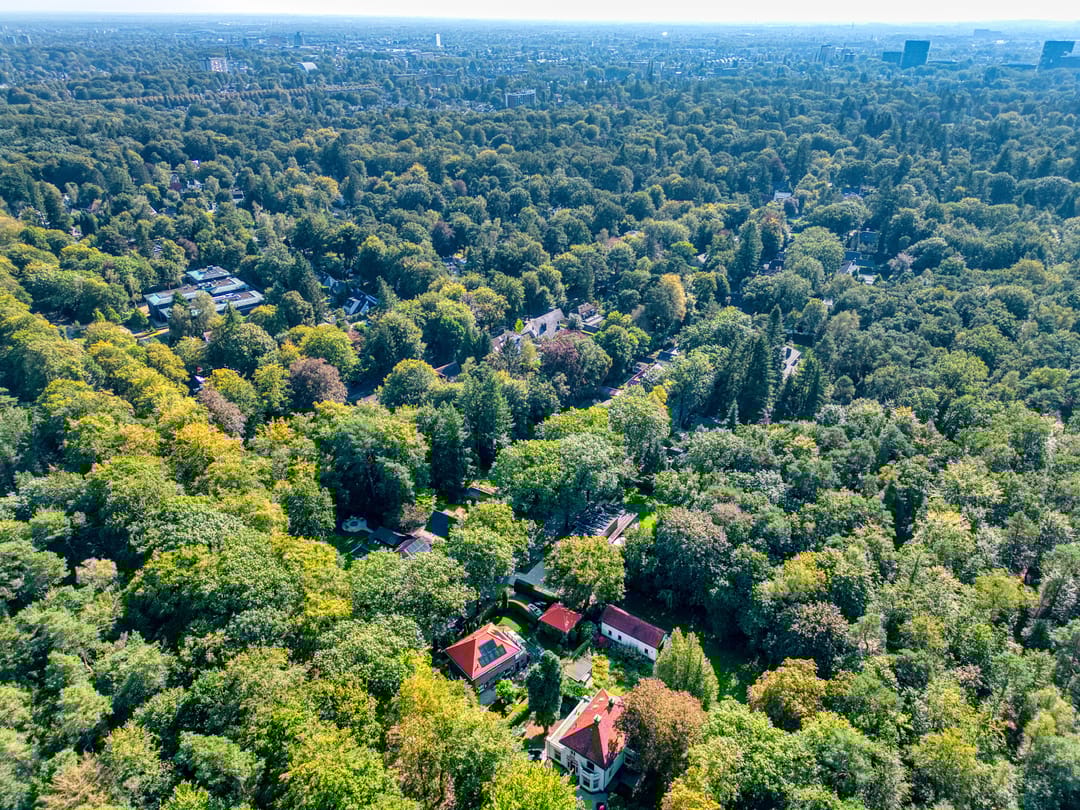 Foto 32 van Sparrenlaan 3