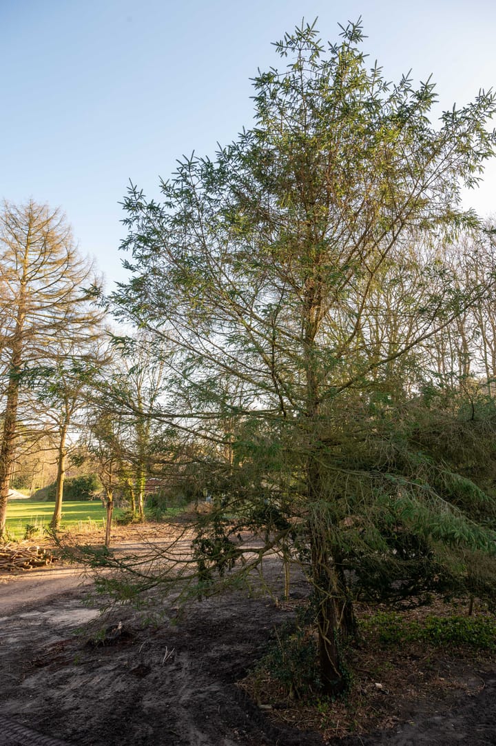 Foto 25 van Duinweg 21