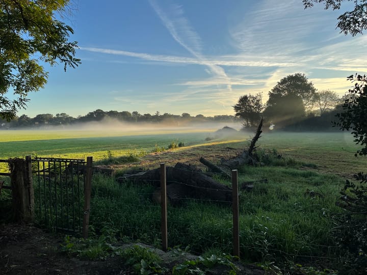 Foto 37 van Duinweg 21