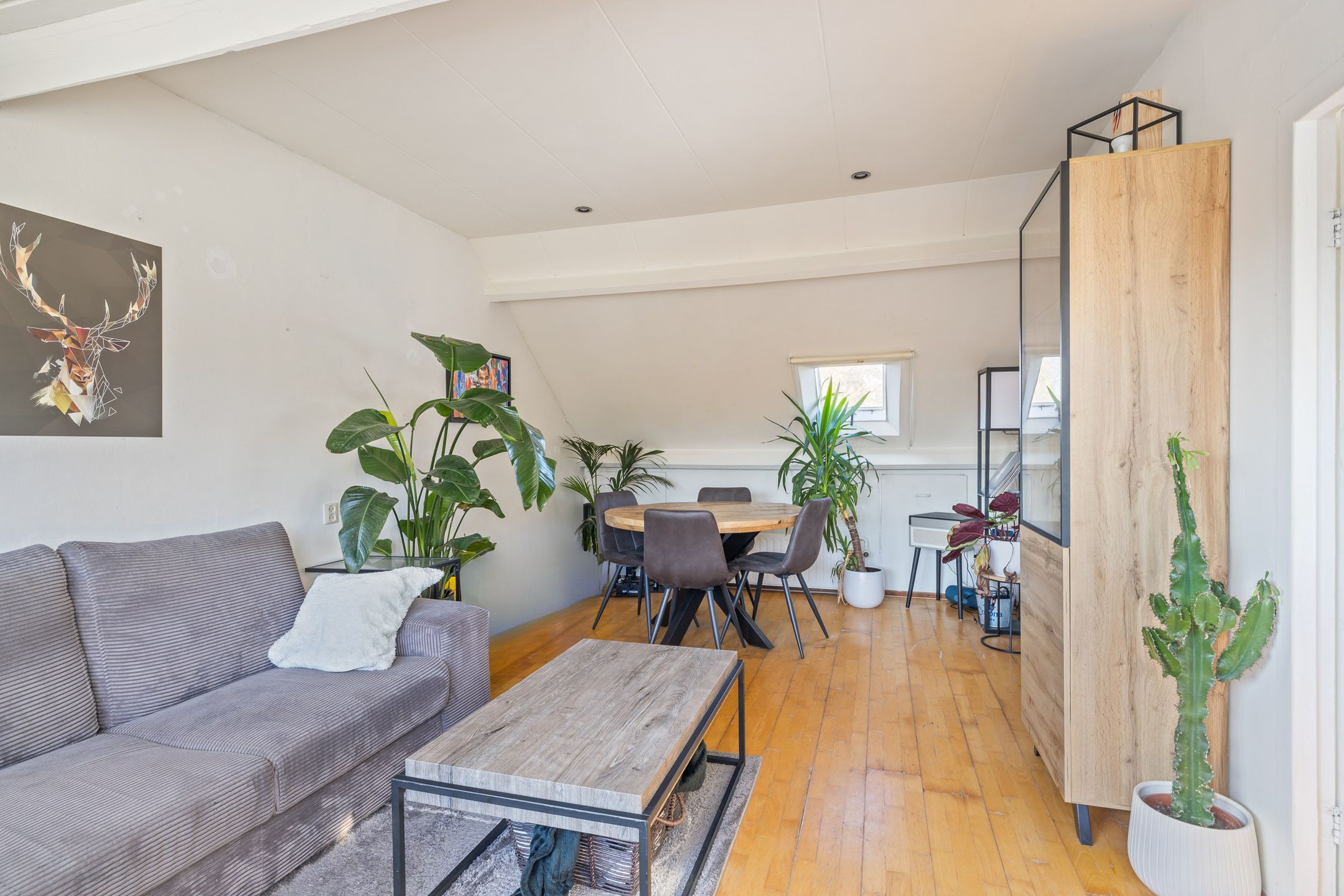 Foto 24 van Provincialeweg 132