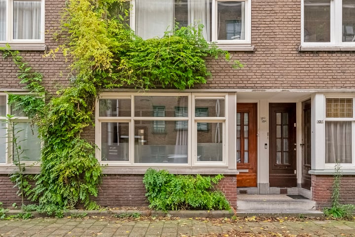 Bekijk foto 1 van Borgesiusstraat 17-B