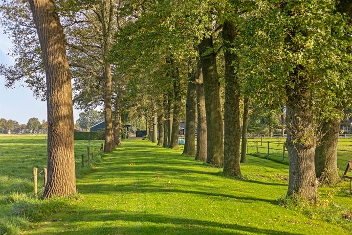 Bekijk foto 9 van Borkeld 14