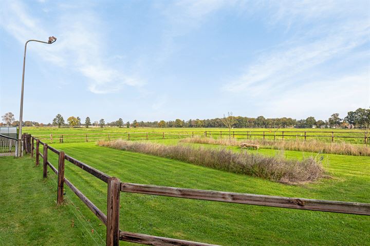 Bekijk foto 13 van Borkeld 14