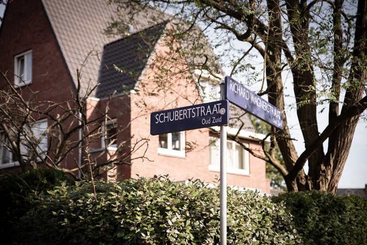 Bekijk foto 62 van Schubertstraat 74