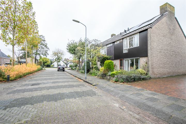 View photo 39 of Ridderspoor 7