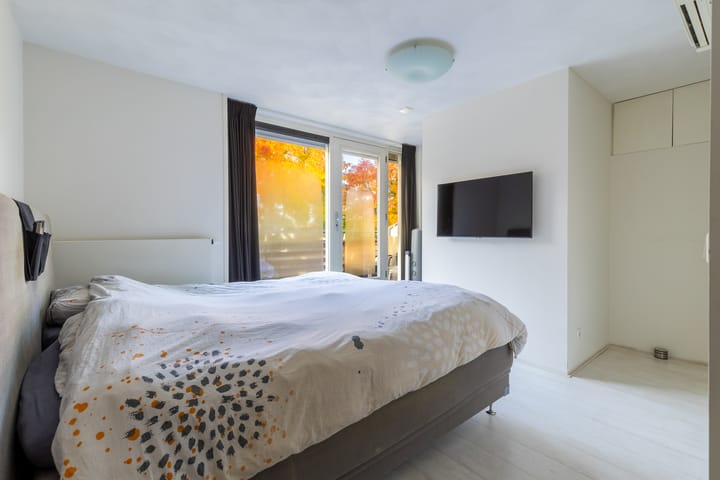 Foto 4 van Waterviolier 176