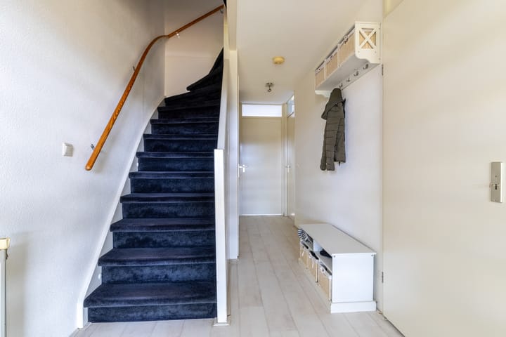 Foto 16 van Waterviolier 176