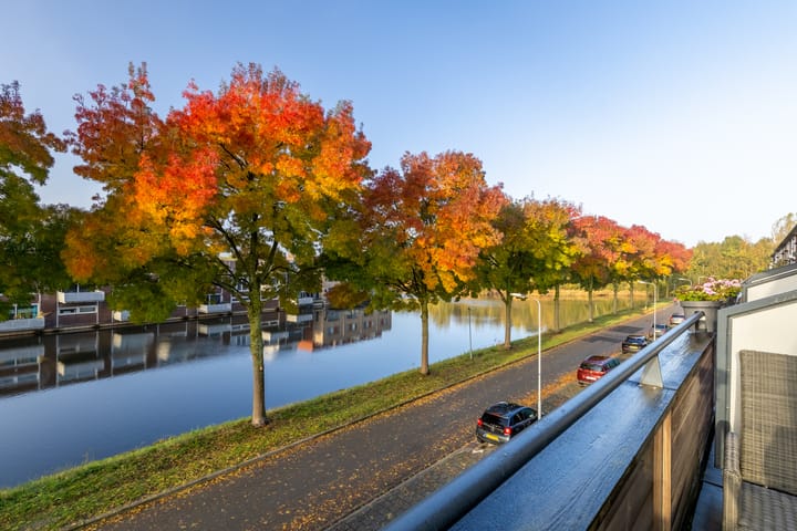 Foto 61 van Waterviolier 176