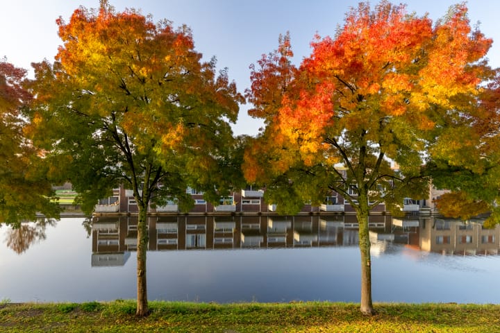 Foto 62 van Waterviolier 176