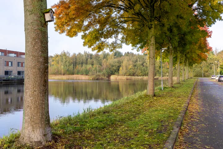 Foto 70 van Waterviolier 176