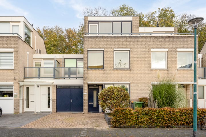 Foto 2 van IJsvogel 66