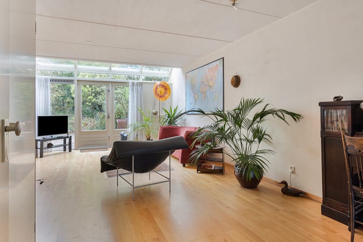 Foto 3 van IJsvogel 66