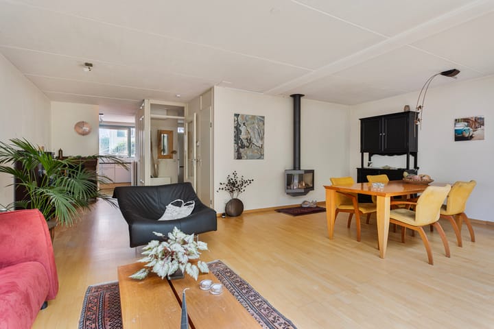 Foto 6 van IJsvogel 66