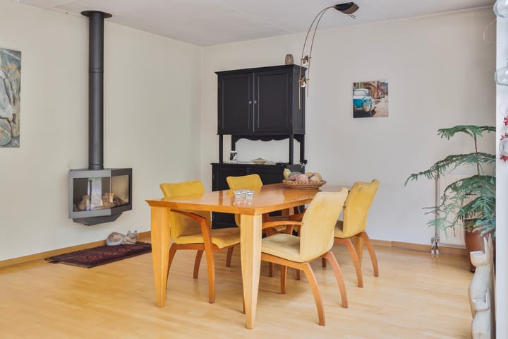 Foto 8 van IJsvogel 66