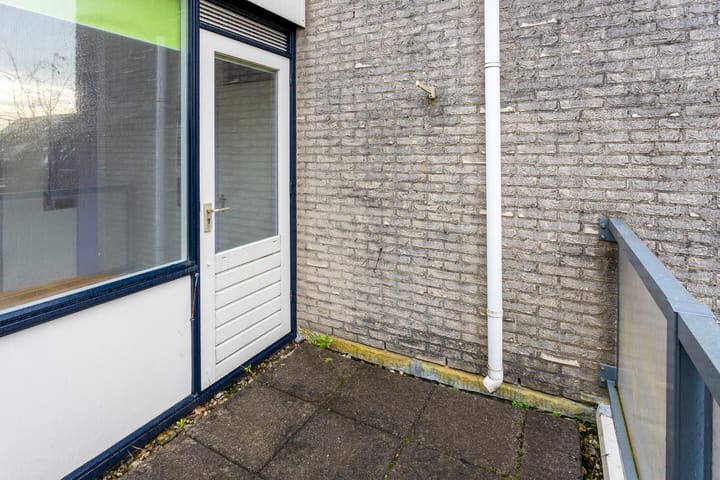 Foto 26 van IJsvogel 66