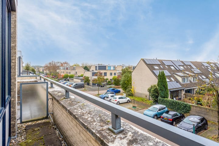 Foto 31 van IJsvogel 66