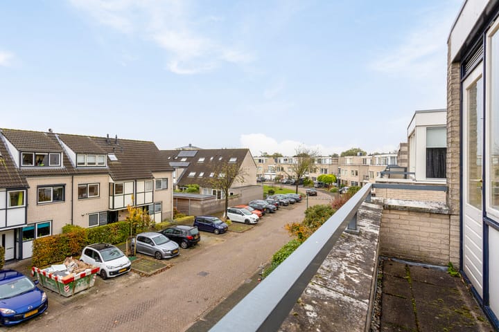 Foto 32 van IJsvogel 66