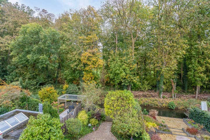 Foto 33 van IJsvogel 66