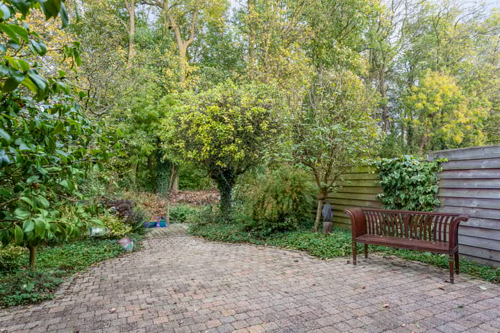 Foto 34 van IJsvogel 66