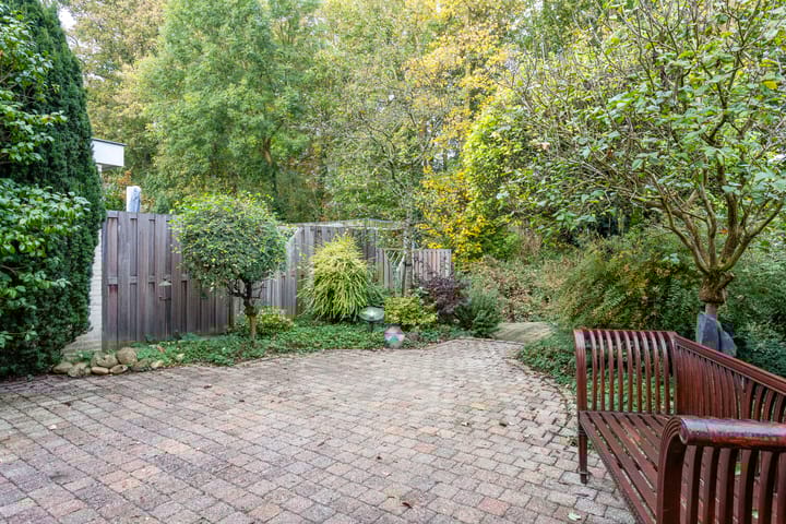 Foto 35 van IJsvogel 66