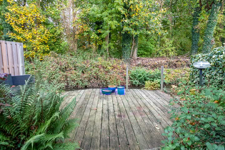 Foto 36 van IJsvogel 66