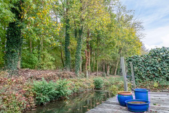 Foto 37 van IJsvogel 66