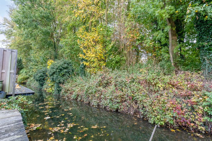 Foto 38 van IJsvogel 66