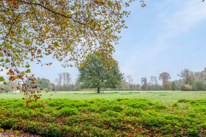 Bekijk foto 40 van IJsvogel 66