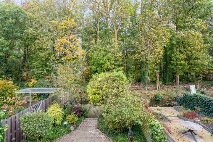 Foto 17 van IJsvogel 66