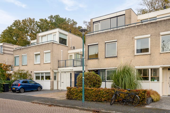 Foto 42 van IJsvogel 66