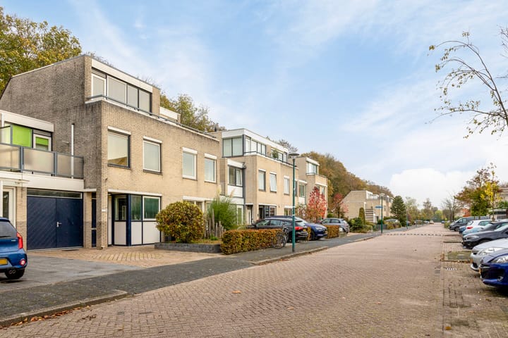 Foto 43 van IJsvogel 66