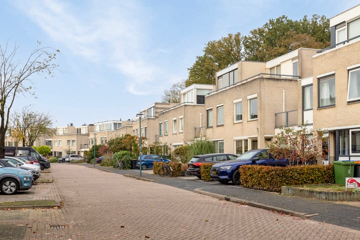 Foto 44 van IJsvogel 66