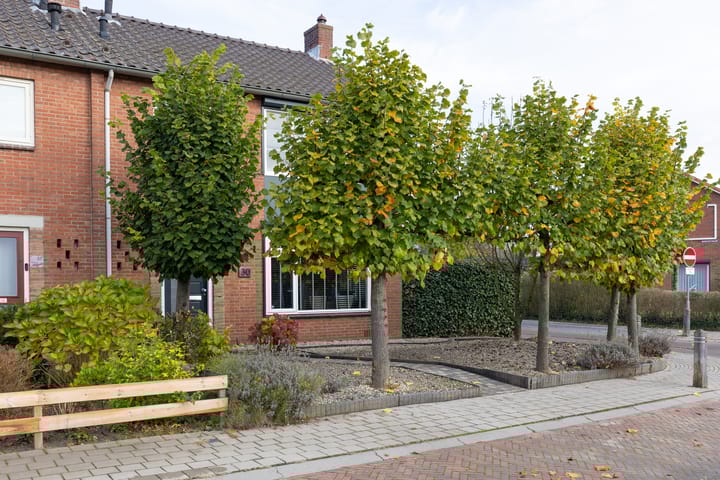 Foto 2 van Tulpstraat 30