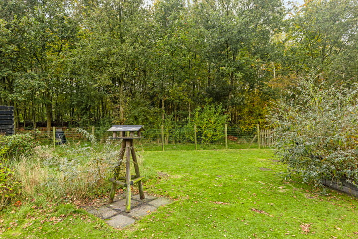 Photo 52 of Titelroas 15