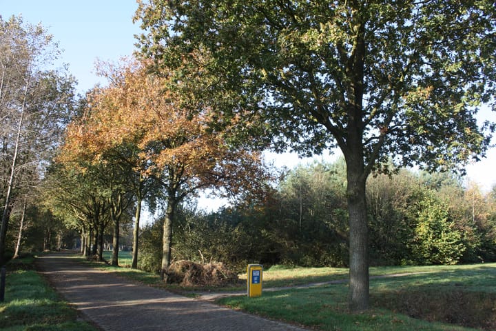 Photo 55 of Titelroas 15