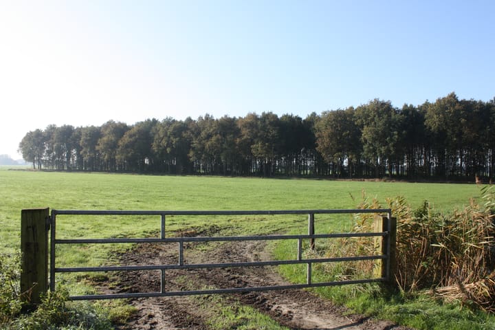 Photo 56 of Titelroas 15