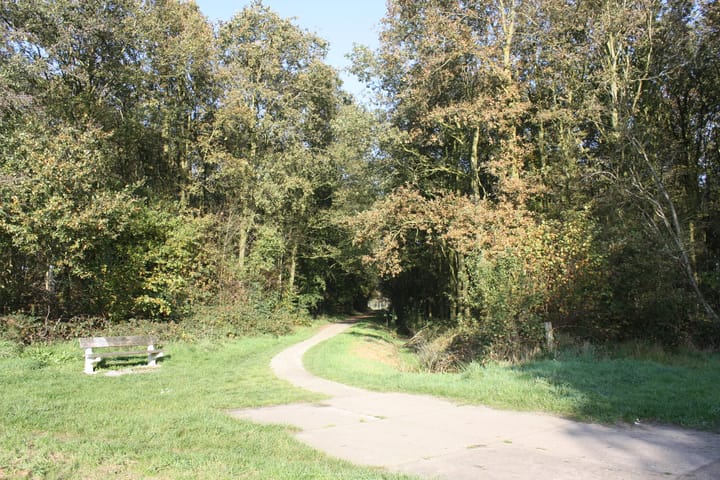 Photo 57 of Titelroas 15