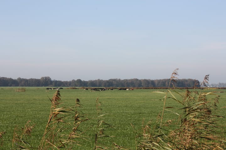 Photo 58 of Titelroas 15