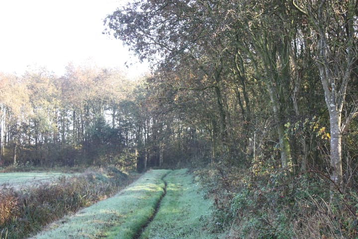 Photo 59 of Titelroas 15